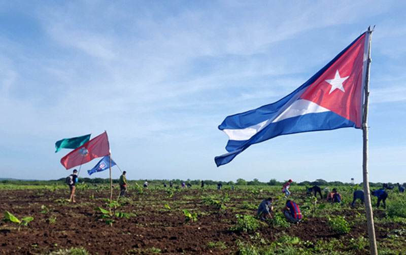 UJC agrcultura 1