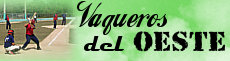 Vaqueros del oeste