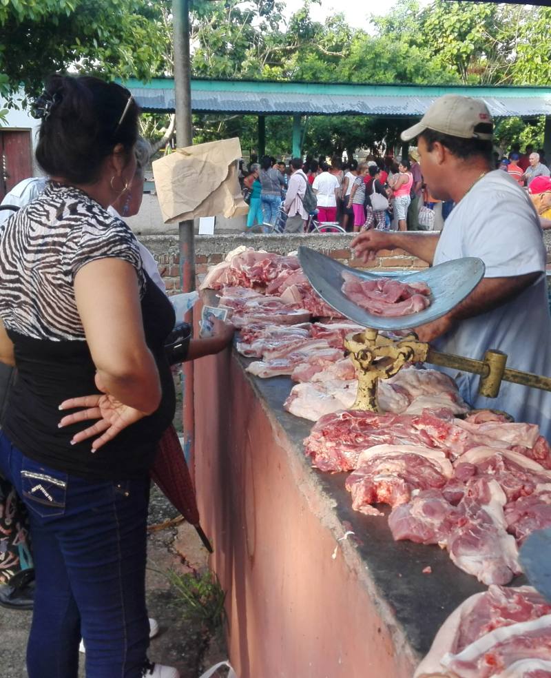 feria agropecuaria10 junio2019