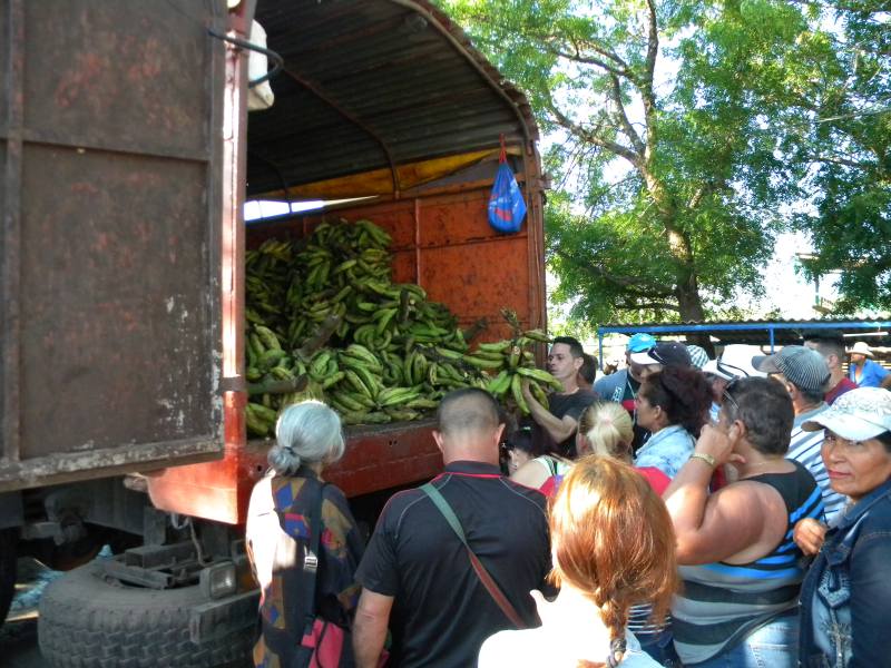 feria agropecuaria1