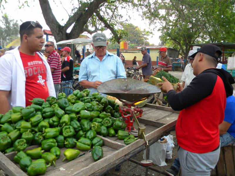 feria agropecuaria1