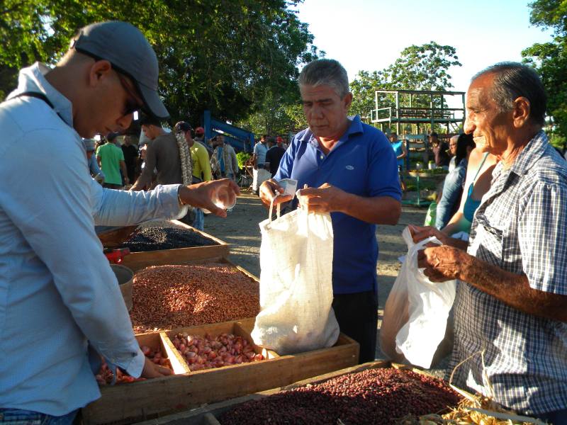 feria agropecuaria1