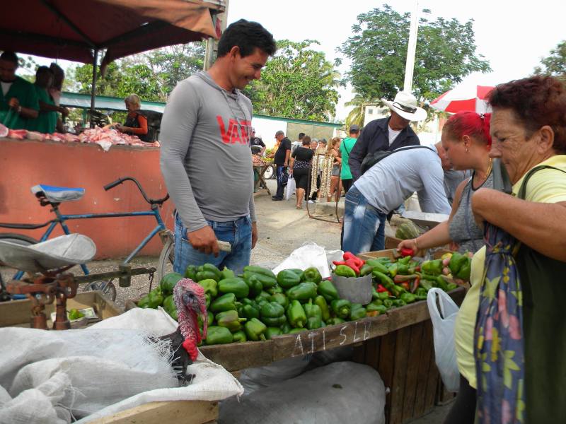 feria agropecuaria1