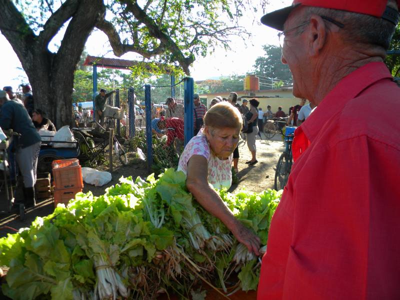 feria agropecuaria1